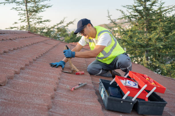 Best Storm Damage Roof Repair  in Rittman, OH